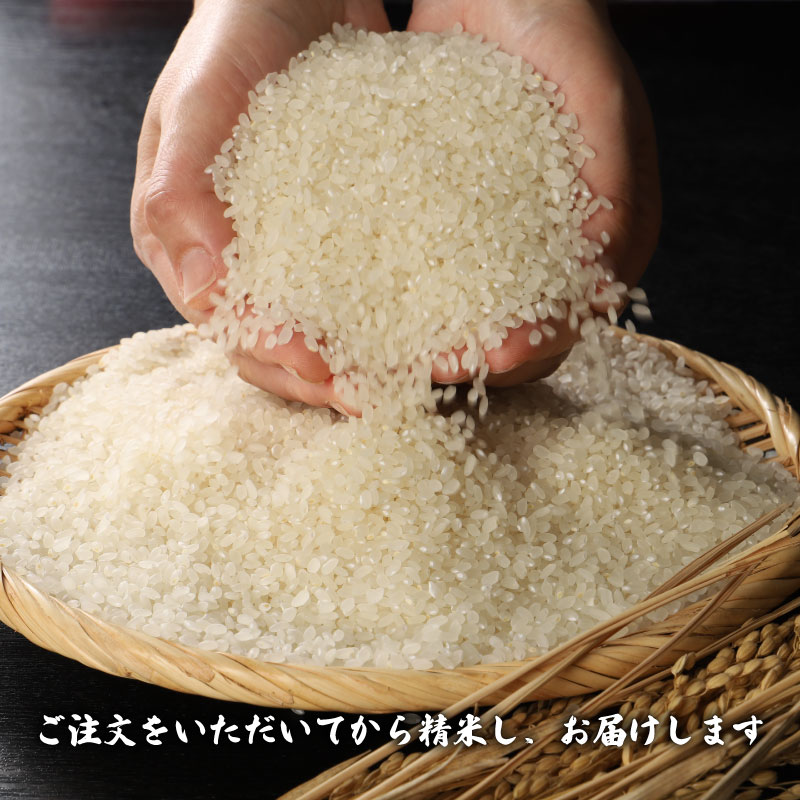 コシヒカリの美味しさを受け継いだ新潟米の優良品種「こしいぶき」　【ふるさと納税】 数量限定 令和7年産 新米 5kg~10kg 単品 定期便 3～6回 こしいぶき 新潟県産 精米 米 新米 こだわり 新潟県産 環境 白米 こめ コメ お米 2025年産 おこめ 精米 R7 ご飯 ごはん 送料無料 R7 数量 限定 白飯 とんとん市場 せいだ D55_03P