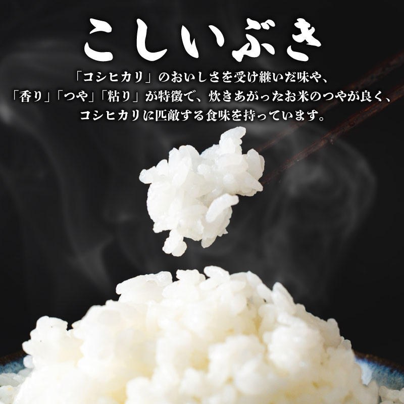 コシヒカリの美味しさを受け継いだ新潟米の優良品種「こしいぶき」　【ふるさと納税】 数量限定 令和7年産 新米 5kg~10kg 単品 定期便 3～6回 こしいぶき 新潟県産 精米 米 新米 こだわり 新潟県産 環境 白米 こめ コメ お米 2025年産 おこめ 精米 R7 ご飯 ごはん 送料無料 R7 数量 限定 白飯 とんとん市場 せいだ D55_03P