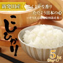 【ふるさと納税】 R6年産 コシヒカリ 5kg 新潟県産 そうえん米 お米 米 こしひかり 新潟米 新潟 新発田産 精米 玄米 せいだ