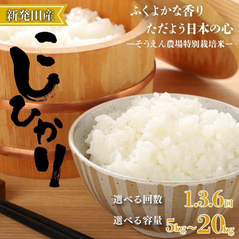【ふるさと納税】 R7年産 コシヒカリ 選べる 5kg 10kg 単品 定期便 3回 6回 新潟県産 そうえん米 お米 米 こしひかり 新潟米 新潟 新発田産 ...