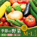 【ふるさと納税】 野菜 おすすめセット 選べる 容量 8〜12種 10〜15種 M L 詰め合わせ 加工品 常備菜 アスパラガス かぶ レタス 山菜 トマト き...