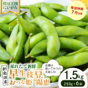 【ふるさと納税】 早生枝豆 1.5kg【 数量限定 早生 枝豆 おつな姫 陽惠 新潟県 先行予約 1.5kg seida019 】