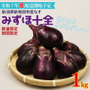 【ふるさと納税】 なす 1kg ( 約 15個 ) みずほ十全 夏野菜 野菜 旬 旬の野菜 期間限定 数量限定 【 新潟県 新発田産 のぞみふぁーむ ナス 農福連携 先行予約 1kg 甘い 柔らかい 十全なす 小茄子 特産品 nozofarm002 】