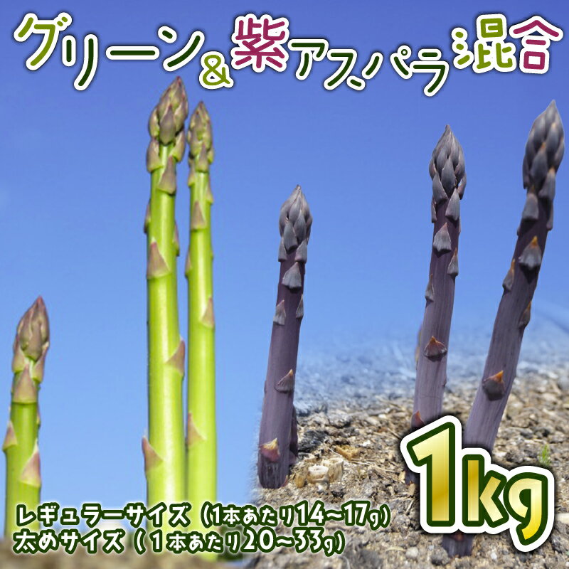 【ふるさと納税】 【先行予約】 令和8年産 アスパラ 新鮮 朝採り 1kg アスパラガス サイズ レギュラー 紫 太め 混合 朝採れ 新鮮 甘い 柔らかい 肉 ...