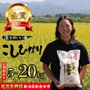 【ふるさと納税】 コシヒカリ 5kg 10kg 15kg 20kg 先行予約 定期便 令和7年産 こしひかり 選べる配送月 精米 白米 ご飯 おにぎり 弁当 新...