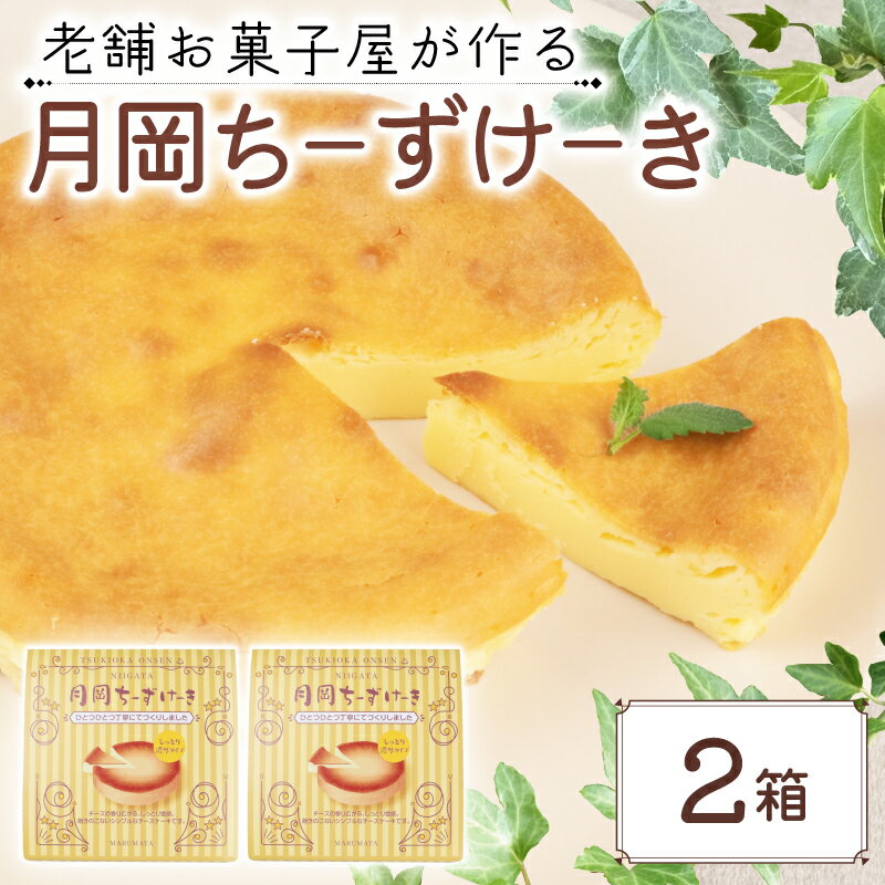 チーズケーキ 2箱 手作り お土産 お取り寄せ 常温 チーズ ケーキ お菓子 洋菓子 おやつ デザート まるまた 老舗 月岡温泉 月岡物産 月岡ちーずけーき 新潟 新発田 seida028
