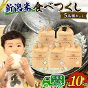 【ふるさと納税】 新米 コシヒカリ こしひかり 食べ比べ 計10kg 2kg5品種セット 令和7年産 こしいぶき ミルキークイーン つきあかり にじのきらめき 特別栽培 白米 米 こめ 大粒 ごはん おにぎり お弁当 農家直送 産地直送 姉崎農園 新潟県 新発田市 anezaki012