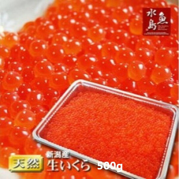 10位! 口コミ数「0件」評価「0」令和6年産 先行予約 生イクラ 【 いくら 魚卵 500g 1kg 新潟県 新発田市 】