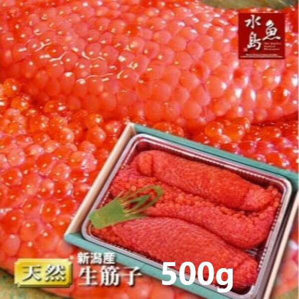 7位! 口コミ数「0件」評価「0」 令和6年産 先行予約 生筋子 【 すじこ いくら 魚卵 500g 1kg 新潟県 新発田市 】