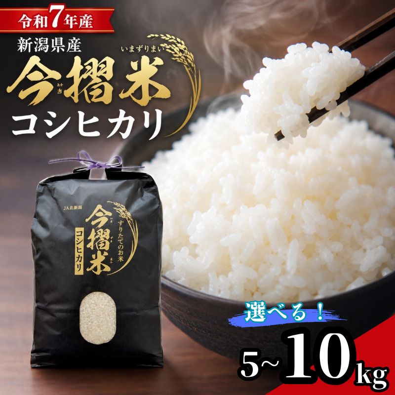 米 コシヒカリ 特別栽培米 今摺米 5kg 10kg 令和7年産 JA ブランド米 米 お米 米5kg 米10kg 精米 いまずりまい ごはん こめ おむすび おにぎり 弁当 おかず 色彩選別 鮮度 雪解け水 贈答 ギフト 国産 新潟 新発田 JA北新潟 こったま〜や JA013P