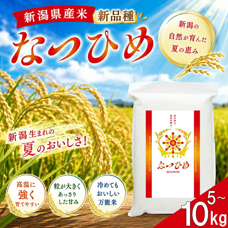 最短5日発送 令和8年産 なつひめ 真空パック 選べる 5kg 10kg 新米 白米 新潟産 新潟米 新発田産 新発田 お米 米 kome ご飯 こめ ごはん ライス ふるさと納税 なつひめ お弁当 食品 ブランド米 なつひめ 新潟県 新発田市 三糧 sanryo021P