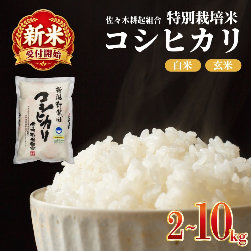 新米 令和8年産 コシヒカリ 2kg 4kg 6kg 10kg 米 選べる 単品 定期便 白米 精米 玄米 ご飯 料理 おにぎり 弁当 新潟県産 新潟産 新発田産 コシヒカリ 佐々木こうき 佐々木耕起 佐々木耕起組合 特別栽培米 新潟県 新発田市 非常食 常備食 ssk001P