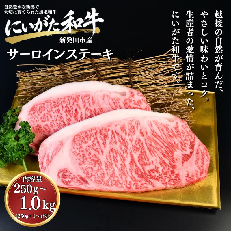 肉 和牛 サーロインステーキ 250g 500g 1kg 焼肉 ステーキ にいがた和牛 黒毛和牛 牛肉 ギフト 贈答用 グルメ お取り寄せ 新発田市産 ごちそう 精肉 新潟県 新発田市 yoneichi013P
