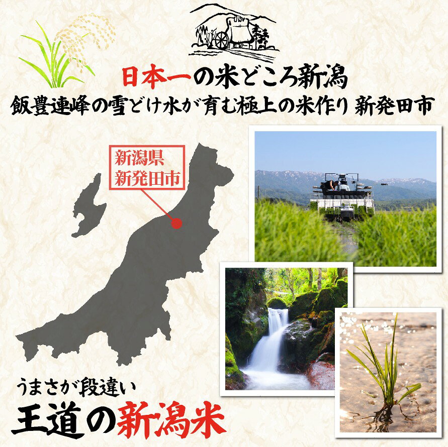【ふるさと納税】 最短7日発送！ 新米 5kg 10kg 新潟 コシヒカリ お米 農家応援米 こしひかり 米 おこめ kome 白米 新潟県産 こしひかり 新潟県 新発田市 農家応援 ふっくら スピード発送 こめ 斗伸 新潟米 水 うまい 新発田市産 こしひかり 斗伸有限会社 toushin079P f152064-shibata-10001112 新潟県新発田市 サンプル画像2