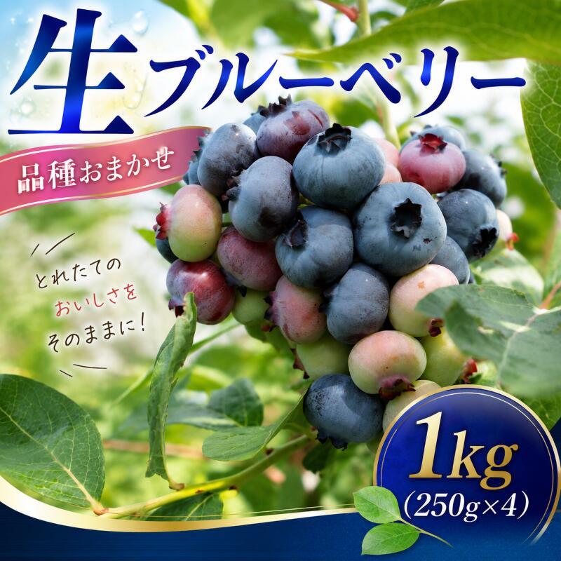 ブルーベリー 生 1kg 品種 おまかせ 生ブルーベリー ジャム 直送 新鮮 朝食 ヨーグルト 冷蔵 ぶるーべりー フルーツ 果物 くだもの とれたて kanda002