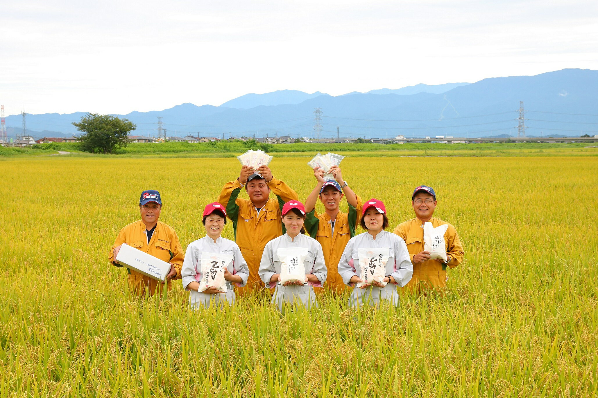 【ふるさと納税】 令和5年産米 こだわりのお米 食べ比べセット　【 新潟県 新発田市 コシヒカリ 特別栽培米 ミルキークイーン 2kg 6kg 3袋 米 D07 】