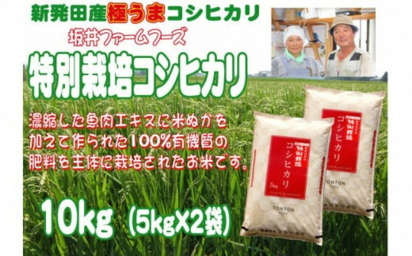 【ふるさと納税】 坂井ファーム 特別栽培米コシヒカリ 【 10kg 5kg×2 2袋 定期便 5kg 3か月 6か月 半年 米 新潟産 坂井ファームフーズ 15kg 30kg 60kg D34_01 D72 D73 D74 D75】