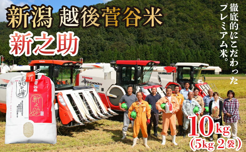 米 令和7年産 新之助 10kg 新潟県 新発田産 米 越後菅谷 新之助 数量限定 echigosugatani003