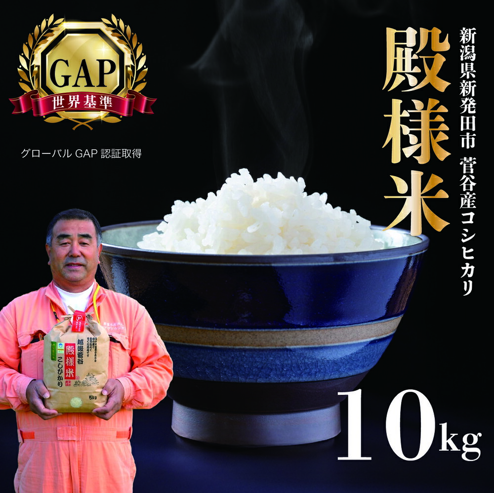 新潟県産 越後菅谷殿様米 10kg 令和7年産 [ 新潟県産 新発田産 米 10kg 越後菅谷 殿様米 コシヒカリ echigosugatani001 ]