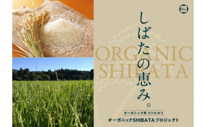 令和5年産 オーガニック米コシヒカリ 2kg【 新潟県産 米 コシヒカリ オーガニック 2kg 新発田産 数量限定 D63_01 】