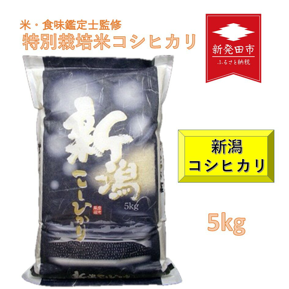 令和6年産 新潟県産コシヒカリ 5kg 特別栽培米コシヒカリ 