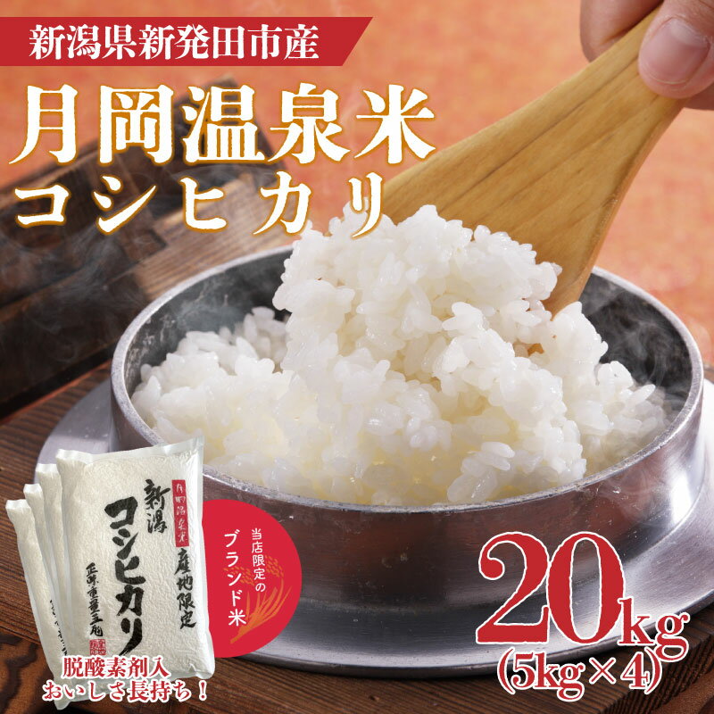 【ふるさと納税】 月岡温泉米コシヒカリ 20kg 5kg × 4袋 令和6年産 新潟 新潟県 米 20kg コシヒカリ 月岡温泉米 5kg 4袋 新発田産 白米 精米 ご飯 ごはん お米 おいしい 】のサムネイル