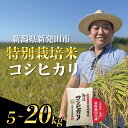 【ふるさと納税】 【先行予約】 新潟県産 特別栽培米 コシヒカリ 5kg 10kg 20kg 選べる 配送月 容量 令和7年産 こしひかり 特栽米 米 新米 月...