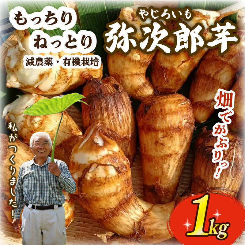 [先行予約] 里芋 土垂れ 弥次郎芋 もっちり 食感 餅 新鮮 採りたて 1kg 減農薬 有機栽培 希少 在来種 さといも やじろ いも 野菜 サトイモ 芋 イモ いも のっぺ 煮っころがし 特産品 つぐちゃん畑 新潟 新潟県 新発田産 新発田市 tsuguchan003_01