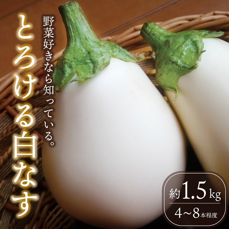 [先行予約] 白なす とろ〜り旨ナス 1.5kg強 (4〜8本) 新鮮 朝採り 夏野菜 採りたて 令和8年産 茄子 ナス 特産品 野菜 白ナス つぐちゃん畑 農家直送 新潟 新潟県 新発田産 新発田市 tsuguchan010