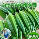 【ふるさと納税】 オクラ 新鮮 朝採り 採りたて 800g 令和7年産 おくら 特産品 野菜 夏野菜 つぐちゃん畑 新潟 新潟県 新発田産 新発田市 tsuguchan001