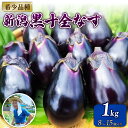 【ふるさと納税】 新潟黒十全なす 新鮮 朝採り 採りたて 1kg 令和7年産 茄子 ナス 特産品 野菜 夏野菜 つぐちゃん畑 新潟 新潟県 新発田産 新発田市 tsuguchan002