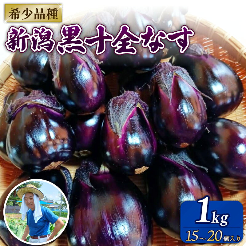 ＼今が旬！／ ナス 1kg 新鮮 朝採り 新潟黒十全なす 採りたて 令和8年産 十全 なす 黒十全茄子 茄子 新潟の生茄子 特産品 野菜 夏野菜 つぐちゃん畑 新潟 新潟県 新発田産 新発田市 tsuguchan002_01