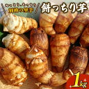 【ふるさと納税】 先行受付 里芋 「餅っちり芋」 新鮮 採りたて 1kg 令和7年産 栽培期間中農薬不使用 希少 在来種 さといも サトイモ 芋 イモ いも 特産品 野菜 つぐちゃん畑 新潟 新潟県 新発田産 新発田市 tsuguchan003