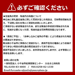 【ふるさと納税】おもちゃ 滑り台 子供 ダンボール ゾウのすべり台 33P80