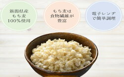 【ふるさと納税】越後製菓の「もち麦ごはん」120g×12食 r05-010-096 画像2