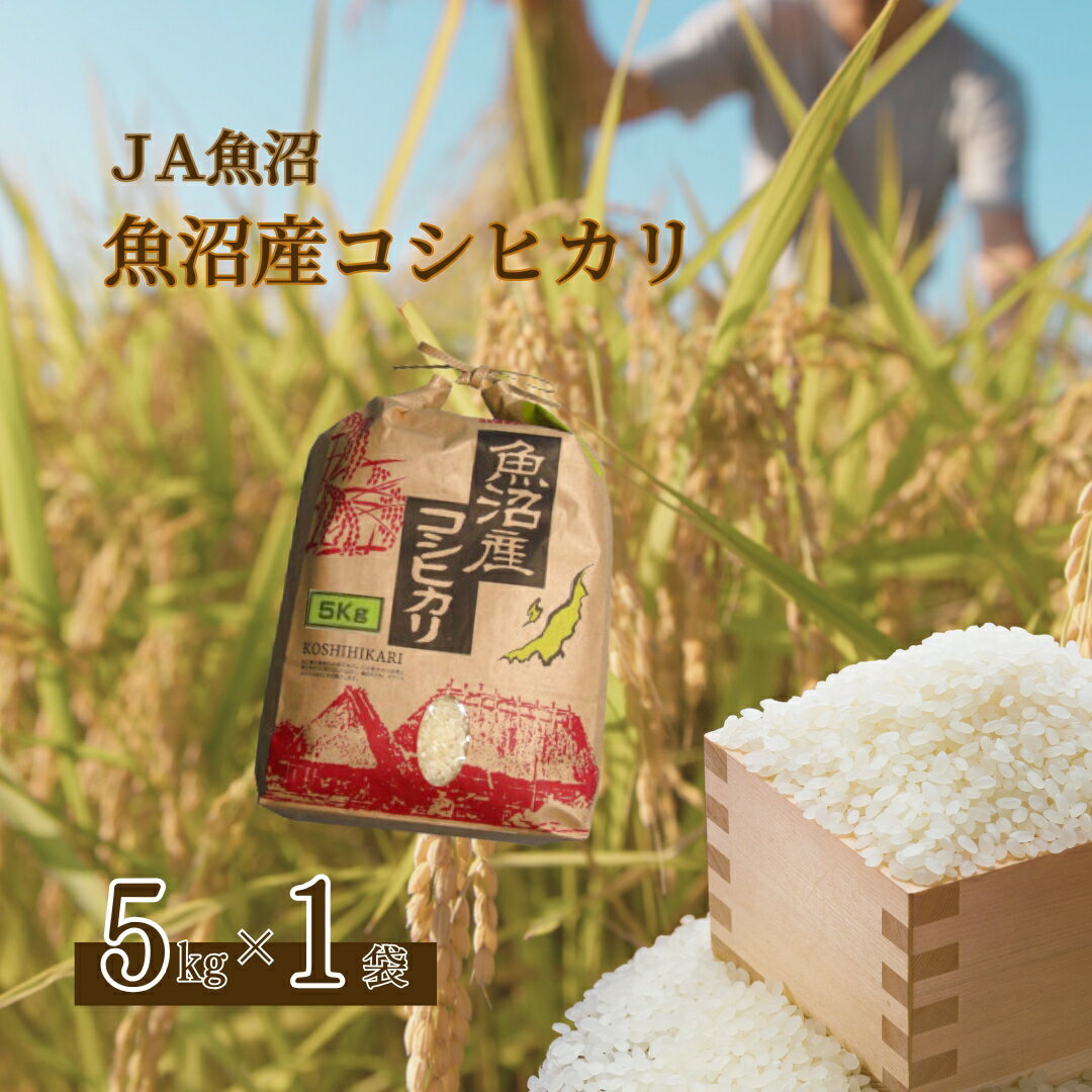 【ふるさと納税】令和7年産 魚沼産コシヒカリ 5kg クラフト袋 JA魚沼 【0002-JA03-01】