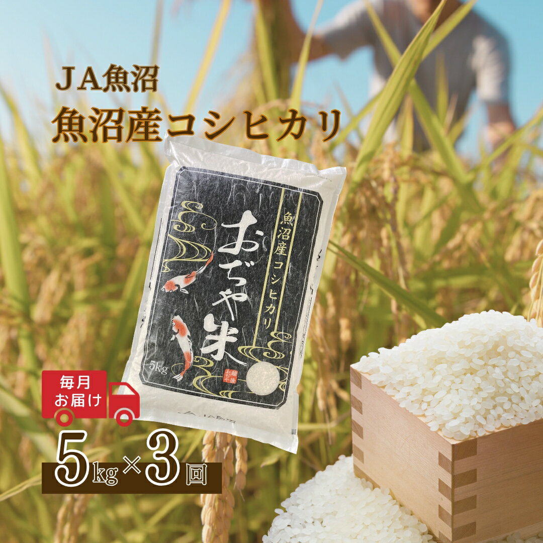 [3か月定期便(毎月発送)] 令和7年産新米 魚沼産コシヒカリ 精米5kg(5kg×1袋)×全3回 ※2025年10月上旬から発送予定 JA魚沼 [0002-JA04DB00-01]