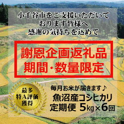 【ふるさと納税】≪数量限定≫ 令和4年産 魚沼産コシヒカリ定期便5kg×6回（毎月お届け） 定期便 新潟県 小千谷市 魚沼産 特A 数量限定 推奨品 画像1