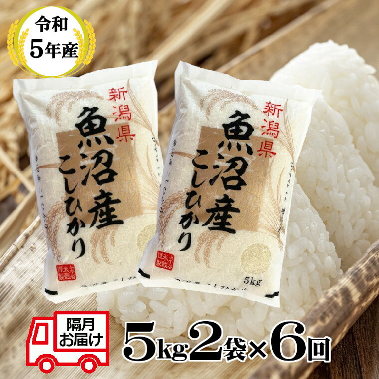 〔定期便〕令和5年産 魚沼産コシヒカリ 定期便 5kg2袋×6回（隔月お届け） 60kg 白米 新潟県 小千谷市（小千谷米穀） r05-117-4BE