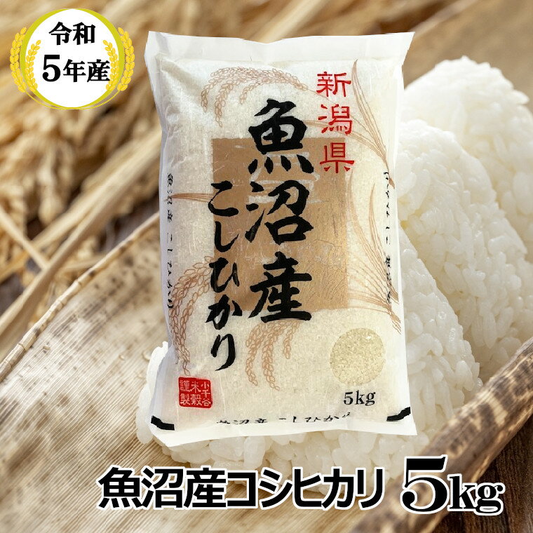 【ふるさと納税】令和5年産 魚沼産コシヒカリ5kg 白米 新