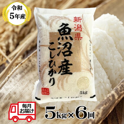 〔定期便〕令和5年産 魚沼産コシヒカリ 定期便 5kg×6回（毎月お届け）白米 30kg 新潟県 小千谷市（小千谷米穀） r05-59-3BE