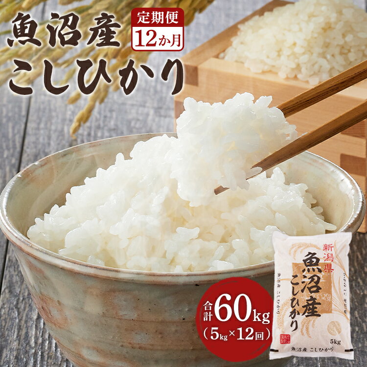 【ふるさと納税】〔定期便・毎月お届け〕5kg×12回 60kg 令和5年産 魚沼産コシヒカリ 白米 精米 新潟県...