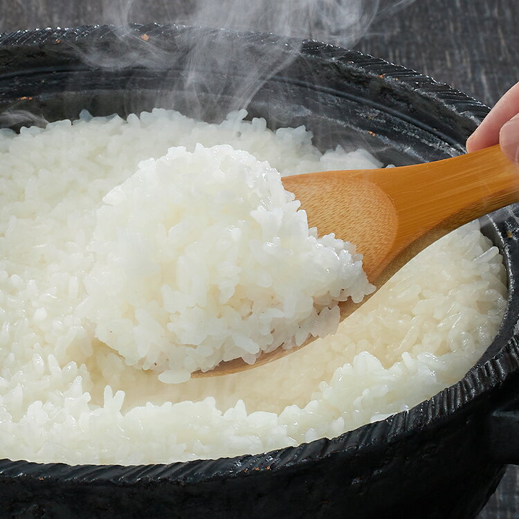 【ふるさと納税】〔定期便〕令和5年産 魚沼産コシヒカリ 定期便 5kg×6回（隔月お届け）白米 30kg 新潟県 小千谷市（小千谷米穀） r05-59-4BE