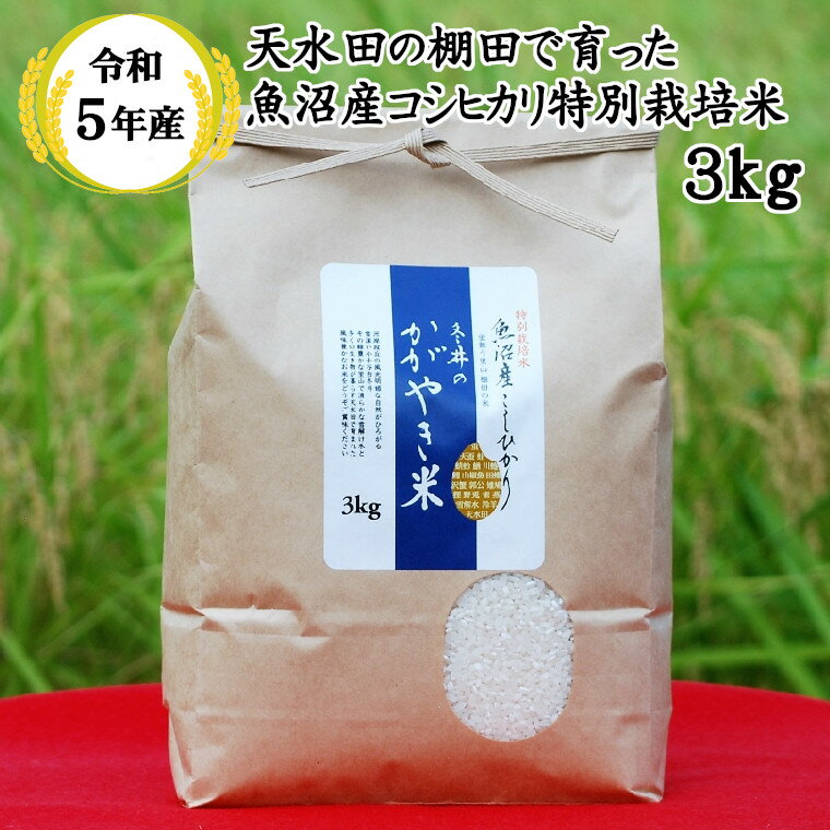 17位! 口コミ数「0件」評価「0」令和5年産 特別栽培米 魚沼産こしひかり3kg「冬井のかがやき米」 白米 魚沼 米 アスカ冬井 r05-10-1