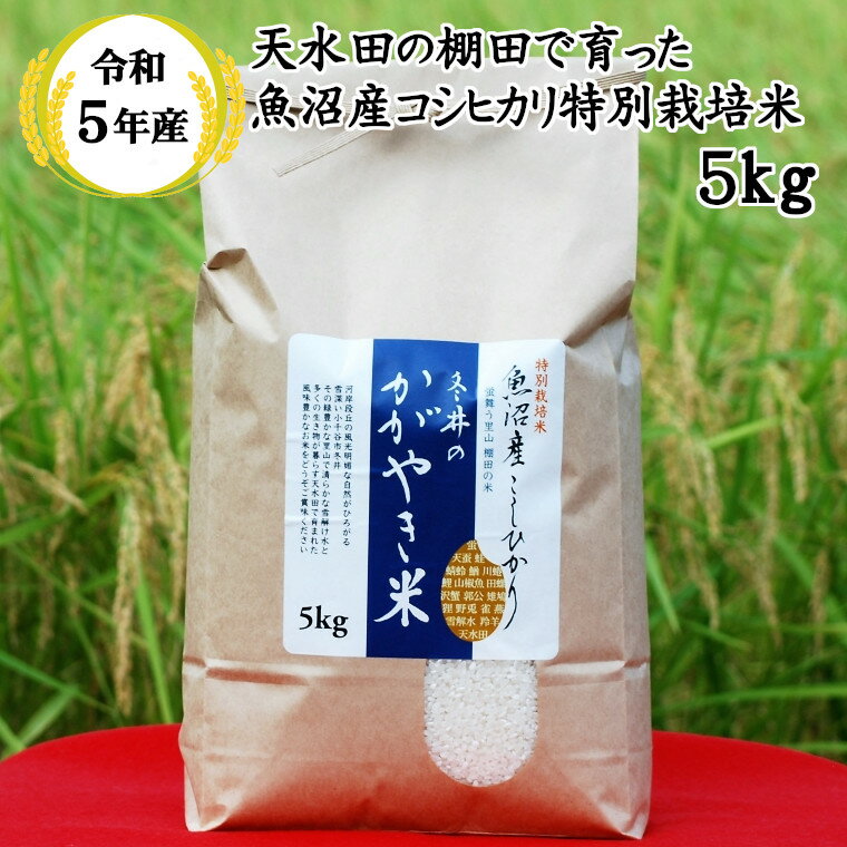 【ふるさと納税】令和5年産 特別栽培米 魚沼産こしひかり5k