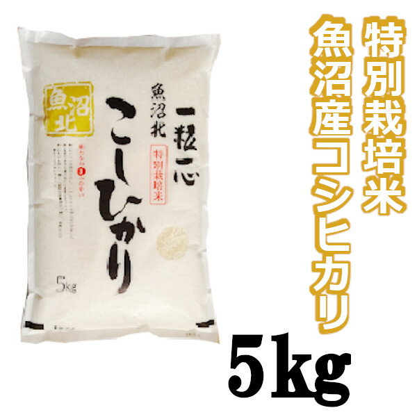 【ふるさと納税】 【令和5年産 】 特別栽培米 魚沼産コシヒカリ 5kg 白米 新潟県 小千谷市 r05-10-6G