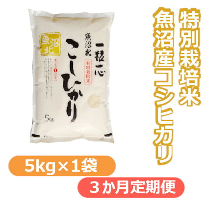 【令和5年産】特別栽培米 魚沼産コシヒカリ 5kg（3か月定期便）白米 新潟県 小千谷市 r05-30-4G