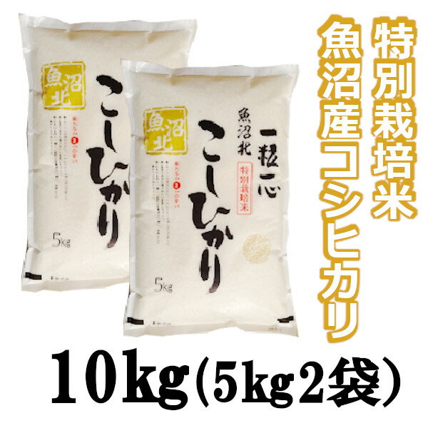 [令和5年産] 特別栽培米 魚沼産コシヒカリ 10kg (5kg×2袋) 白米 新潟県 小千谷市 r05-20-2G