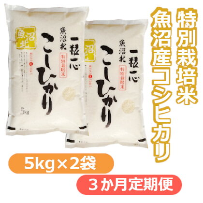 【令和5年産】特別栽培米 魚沼産コシヒカリ10kg（5kg×2袋）（3か月定期便） 白米 新潟県 小千谷市 r05-60-4G