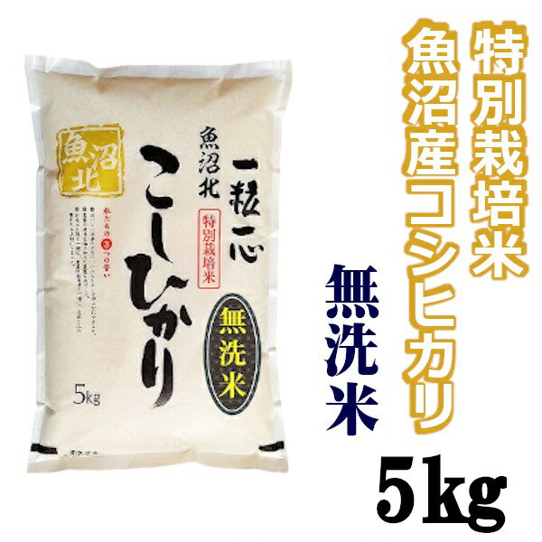 [令和5年産][無洗米]特別栽培米 魚沼産コシヒカリ 5kg((有)グリーン)魚沼 米 r05-10-7G